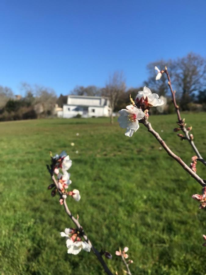 Domaine De Galland-Dast Cambes  エクステリア 写真