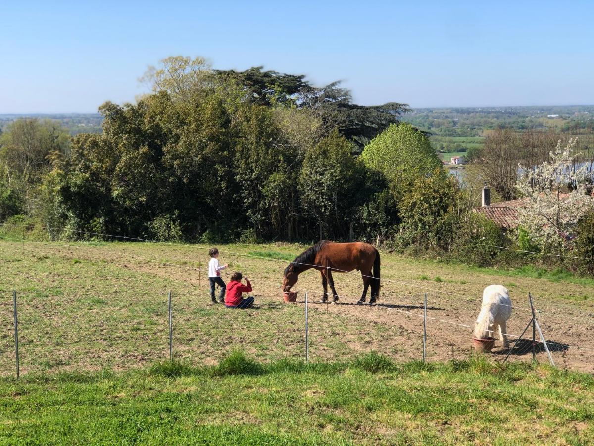 Domaine De Galland-Dast Cambes  エクステリア 写真