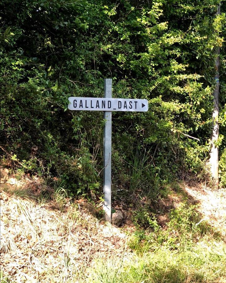 Domaine De Galland-Dast Cambes  エクステリア 写真