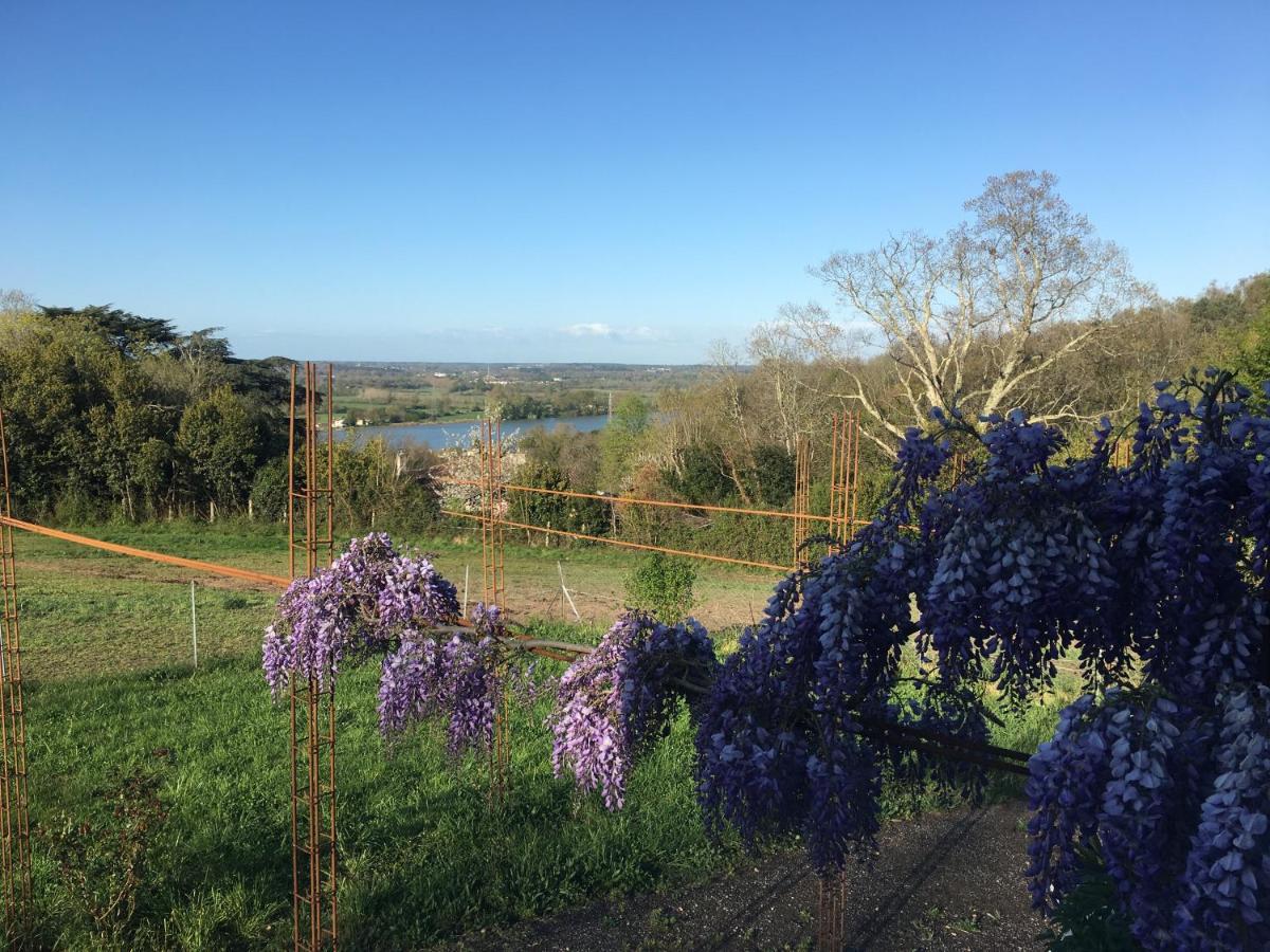 Domaine De Galland-Dast Cambes  エクステリア 写真